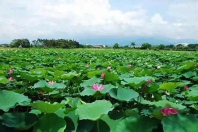 【必读】盘点耐高温蒸煮包装袋检测技术，这个必须重视